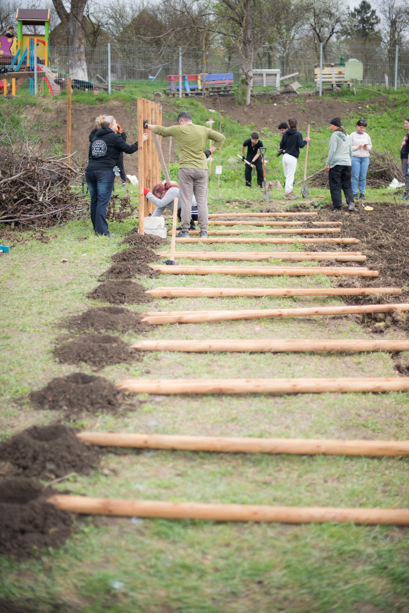 Șura Culturală Gușterița 17